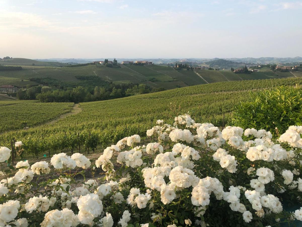 Agriturismo La Casa In Collina Resort 3*